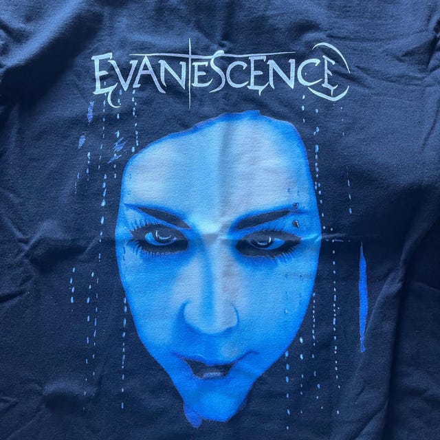 Evanescence 'fallen' Vintage Band Rock Unisex Tshirt - Etsy