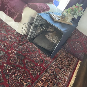 Donna added a photo of their purchase