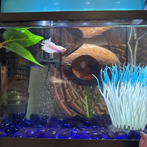 Kristin added a photo of their purchase