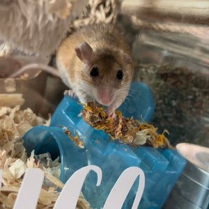 Furbfection hat ein Foto des gekauften Artikels hinzugefügt