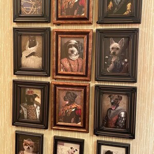 Shirley ha aggiunto una foto del proprio acquisto