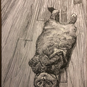 Steven ha añadido una foto de su compra