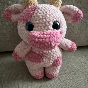 ashlee added a photo of their purchase