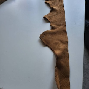 tomas added a photo of their purchase