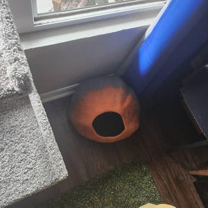 Steven added a photo of their purchase