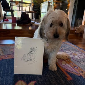 Lindsey added a photo of their purchase
