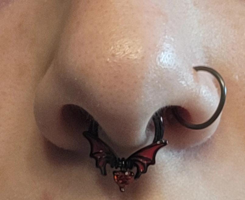 16G Bat Halloween Septum Ring/Daith Hoop/Conch Hoop/Tragus Hoop/Helix Hoop/Spooky Jewelry/Hoop Earrings/Cartilage Earrings/Gift for her