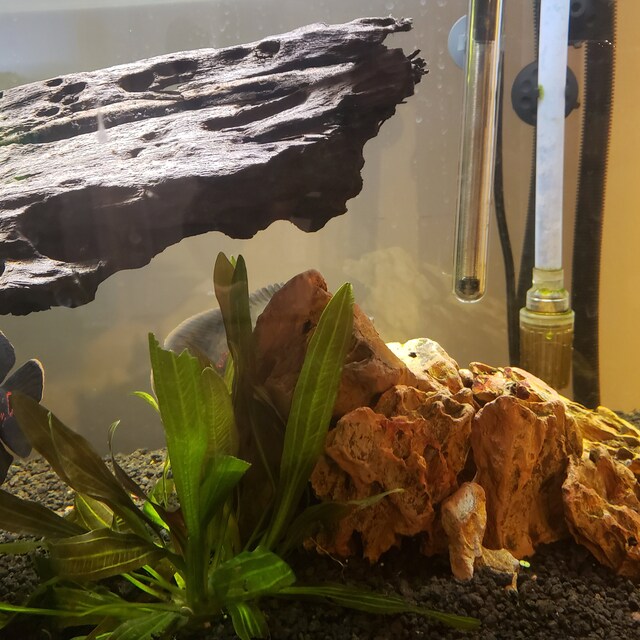 Dragon Stone (Ohko Stone) / Planted Aquarium / Decoration / Hardscape Dragon Stone (Ohko Stone) / Planted Aquarium / Decoration / Hardscape