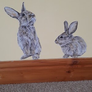 Schildkröte Illustration Zeichnung Schildkröte Schildkröte | Etsy