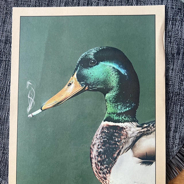 Mallard Smoking a Cigarette Vintage Poster Art Funny Duck Retro Whimsical  Print Cabin Wall Decor Outdoor Sports Hunter Illustration