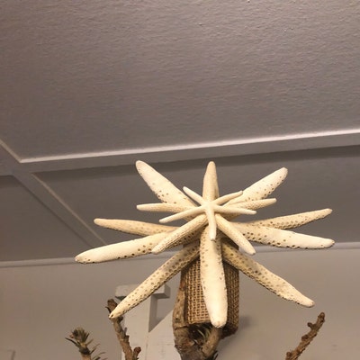 SALE Starfish Tree Topper 5-6 7-8 9-10 - Etsy