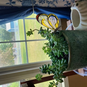 Gretchen added a photo of their purchase