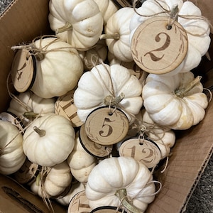 Etsy-Käufer:in hat ein Foto des gekauften Artikels hinzugefügt