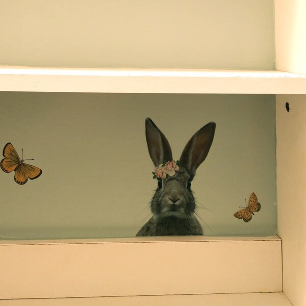 Peek A Boo Bunny Rabbit Shabby Roses Furniture Transfer Waterslide ...