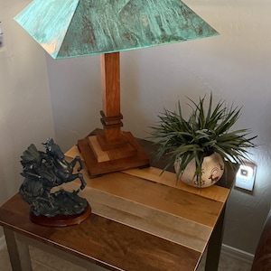 Steve added a photo of their purchase