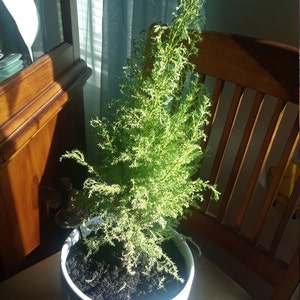 Diane added a photo of their purchase