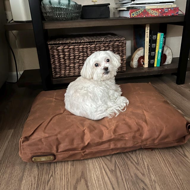 LARGE DOG BED 50