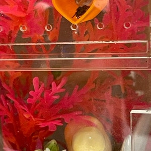 Mia added a photo of their purchase