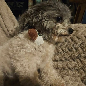 Kammie added a photo of their purchase