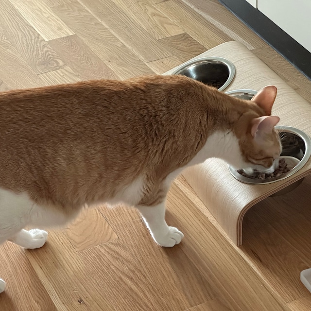 Customer photo of Feeding Station
