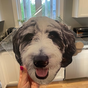 Taylor added a photo of their purchase
