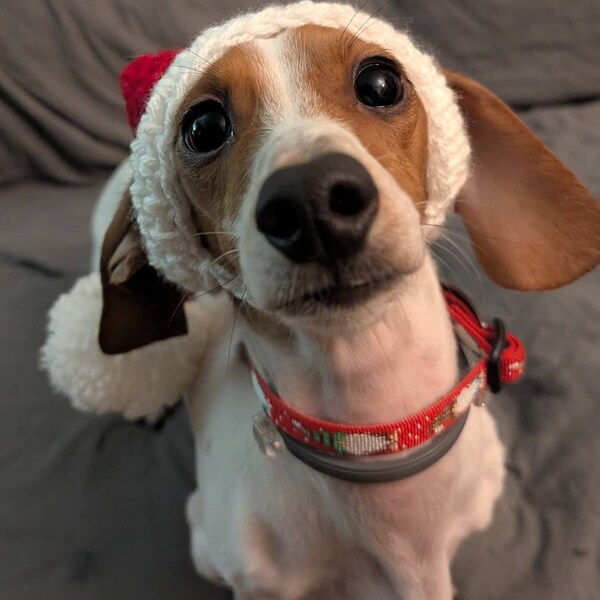 Santa Dog Hat Crochet PATTERN Etsy