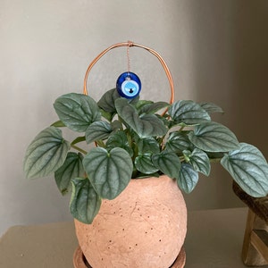 Deanna added a photo of their purchase