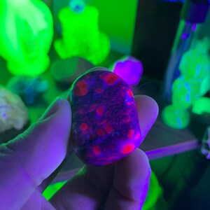 Cassandra added a photo of their purchase