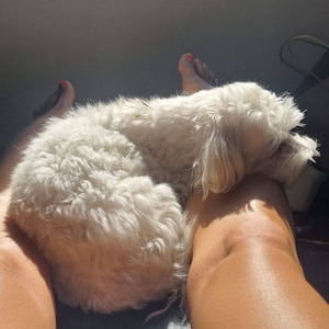 Katrina ha añadido una foto de su compra