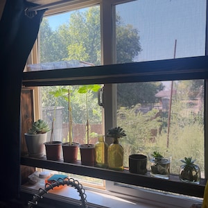 Carly added a photo of their purchase