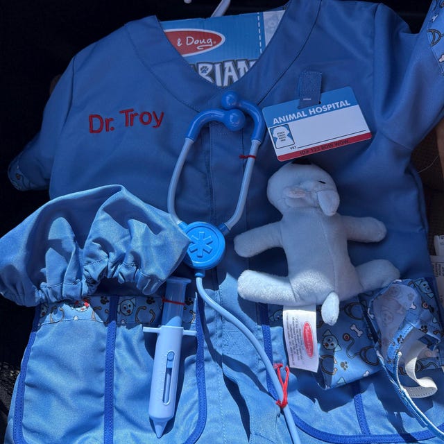 melissa and doug veterinarian costume