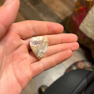 Andrew added a photo of their purchase