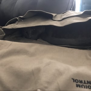 susan added a photo of their purchase
