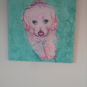 Laura Applemam added a photo of their purchase