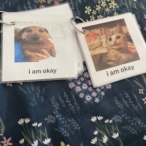 Abigail added a photo of their purchase