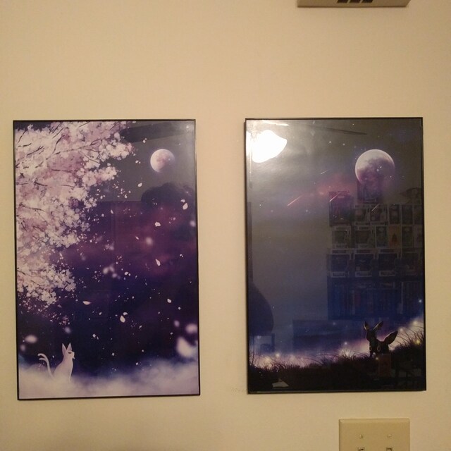 DSC01128.jpg?v=1731983474
