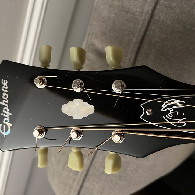 Guitar Parts - Engraved Etched - Truss Rod Cover - Options Fit
