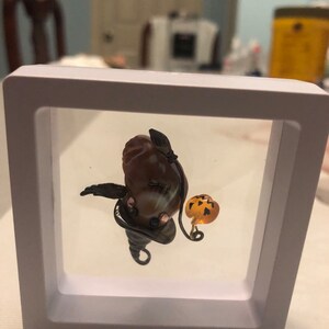 May added a photo of their purchase