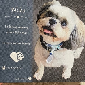 Elena added a photo of their purchase