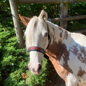 Elizabeth added a photo of their purchase