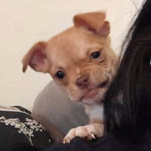 Mr ha añadido una foto de su compra