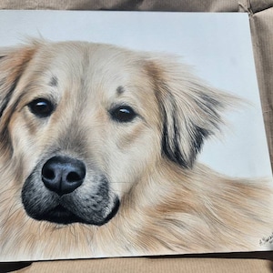 Ryan added a photo of their purchase