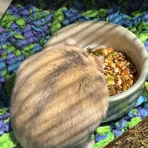 Libby added a photo of their purchase