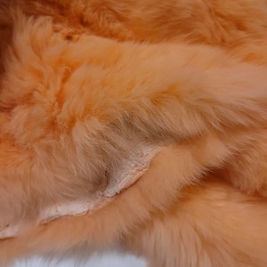 tracey ha añadido una foto de su compra