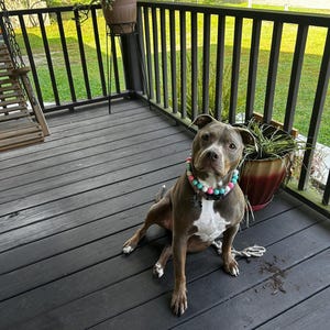 Betty added a photo of their purchase