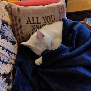 Anderson added a photo of their purchase