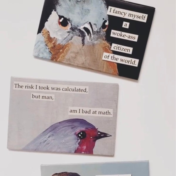 The Risk I Took Magnet - Bird - Math - Humor - Animal - Nature - Gift ...