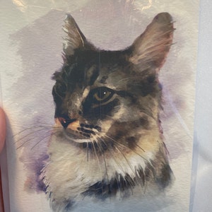 Ashley added a photo of their purchase