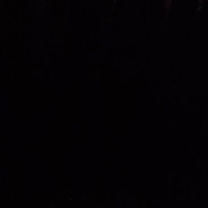 Lisa a ajouté une photo de son achat