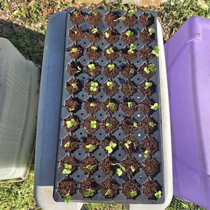 John ha añadido una foto de su compra